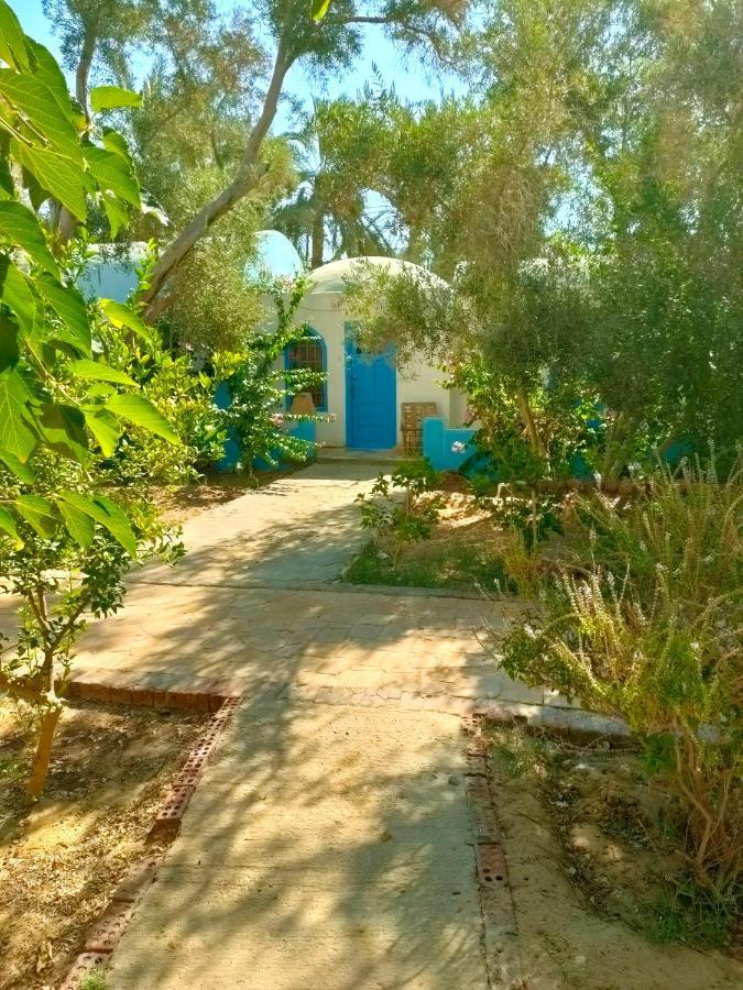Panta Lodge Siwa Siwa Oasis Esterno foto